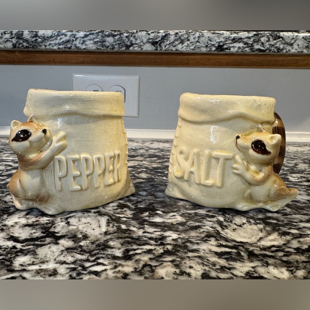 Vintage raccoon salt & pepper shakers made by Quon Quon